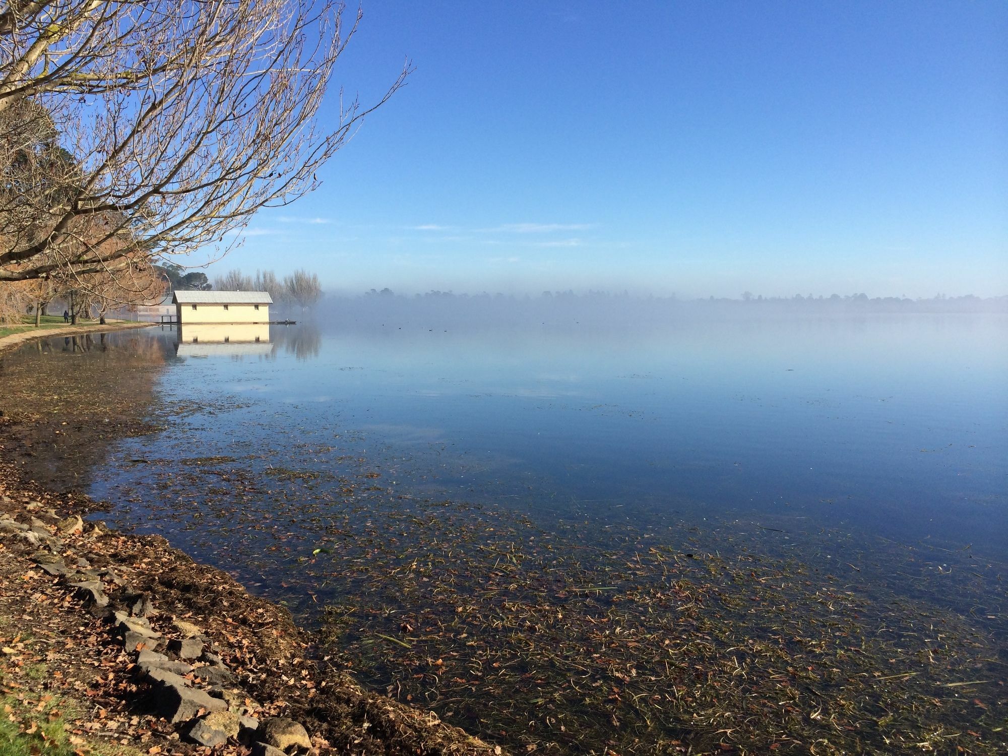 Lake Wendouree Luxury Apartments On Webster Ballarat Kültér fotó