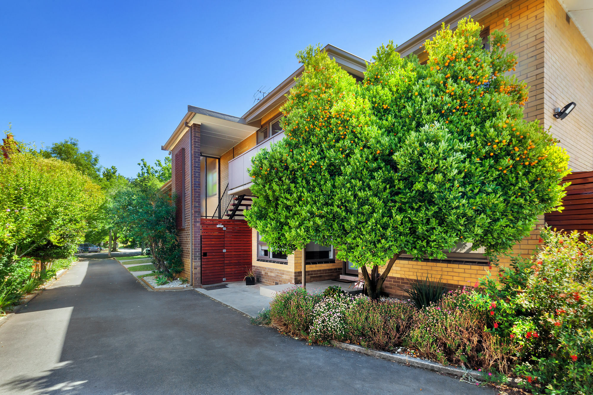 Lake Wendouree Luxury Apartments On Webster Ballarat Kültér fotó